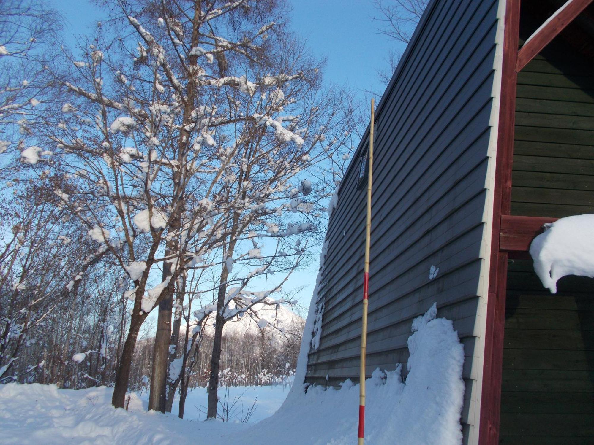 Niseko Shirokuma Cottage Екстериор снимка