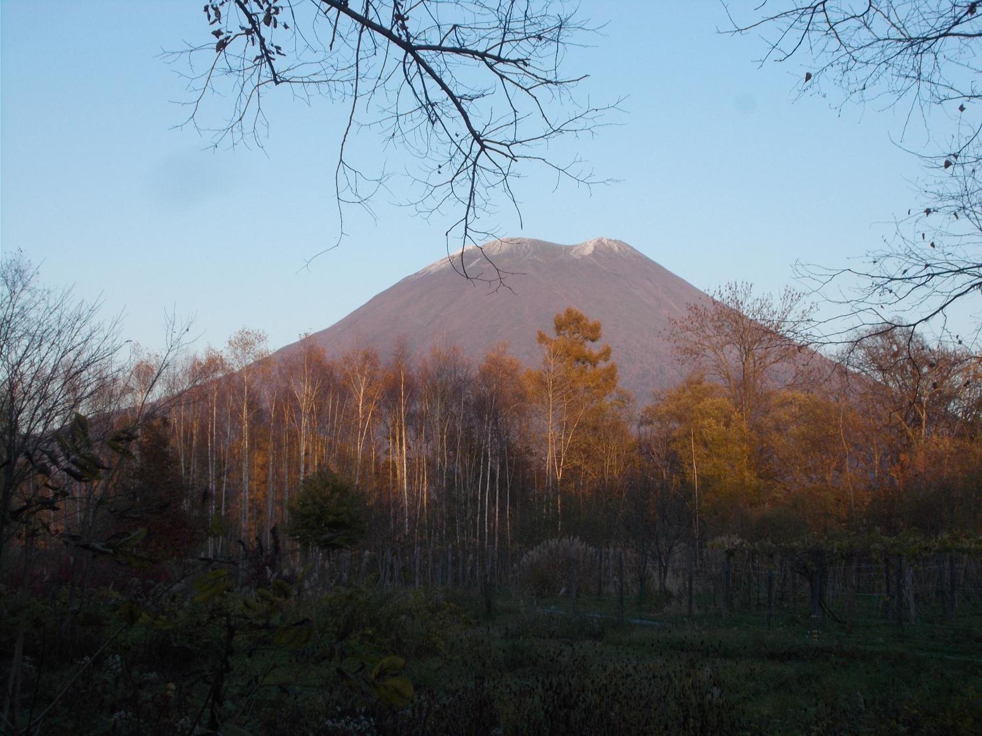 Niseko Shirokuma Cottage Екстериор снимка