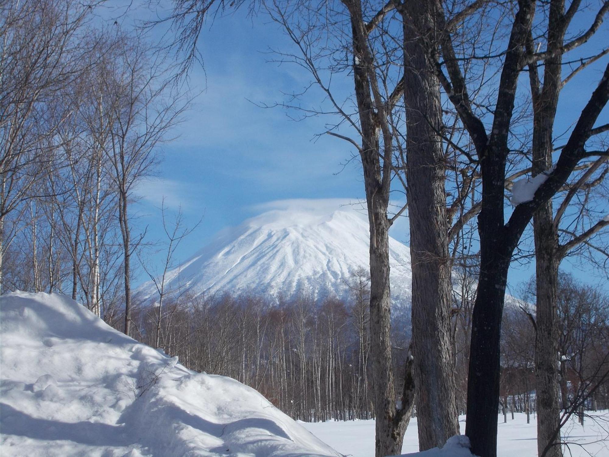 Niseko Shirokuma Cottage Екстериор снимка